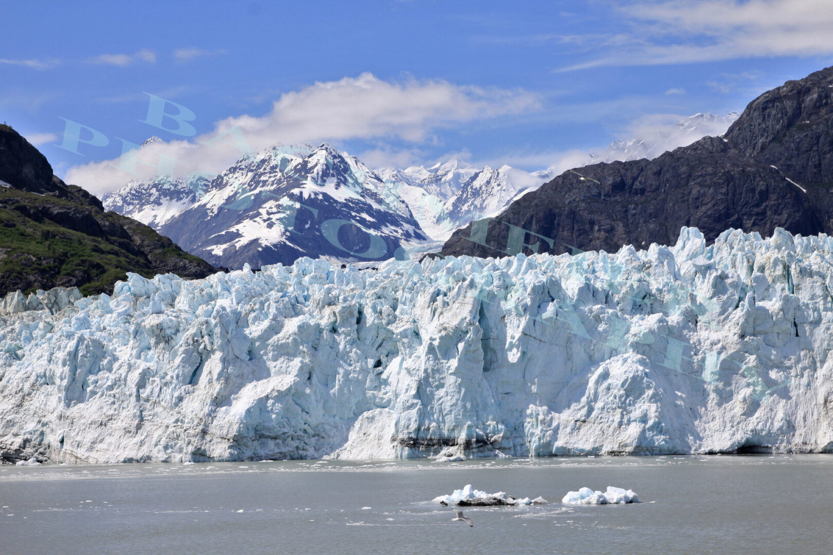 Alaska-Glacier Bay098